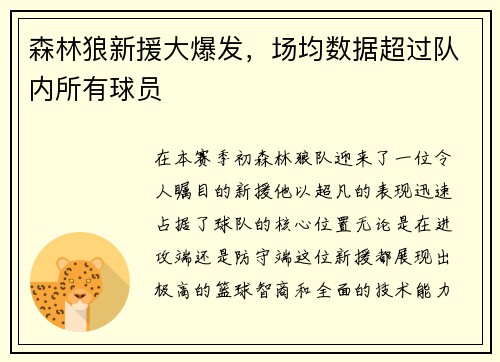 森林狼新援大爆发，场均数据超过队内所有球员